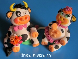 חג שבועות שמח!